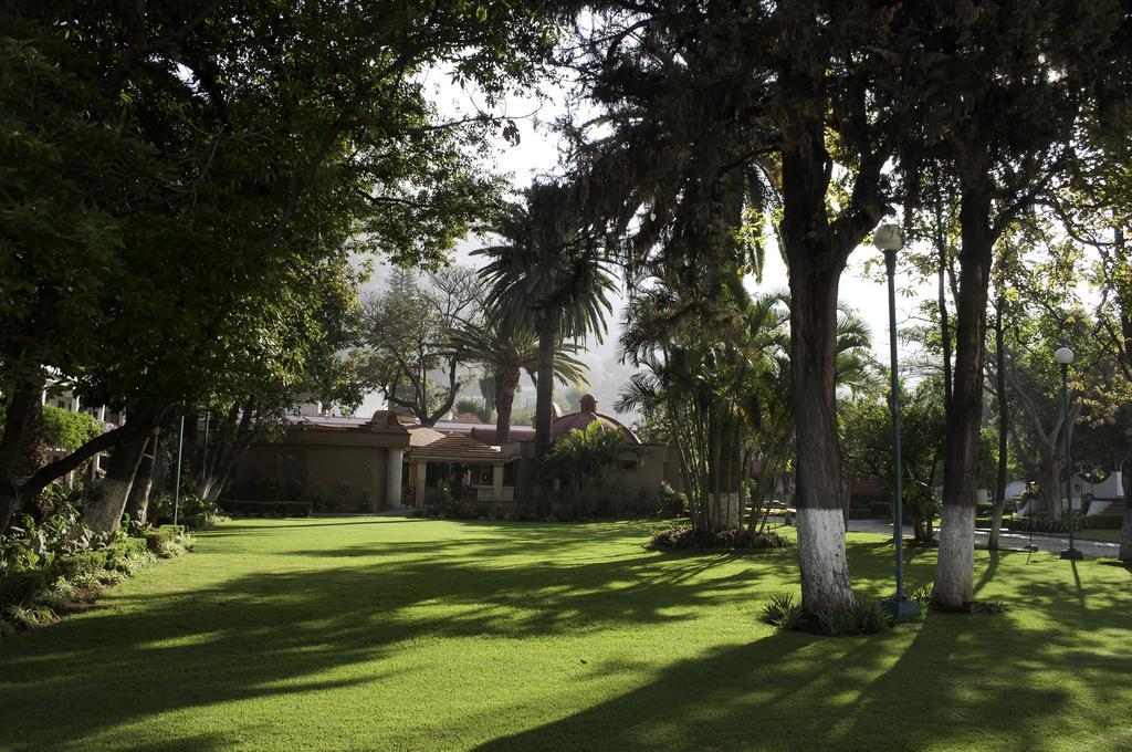 Hotel Los Olivos Spa Oaxaca Exteriör bild