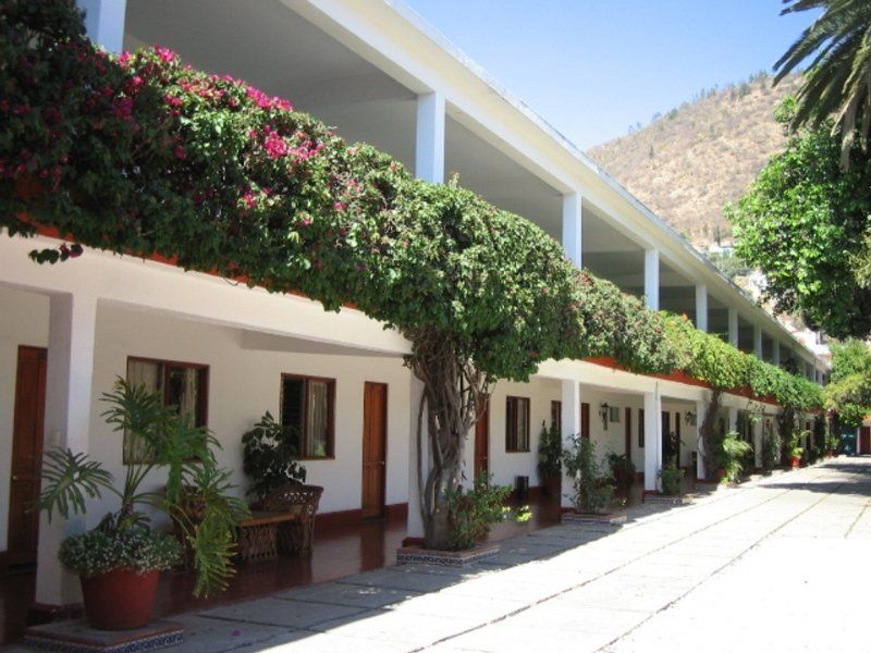 Hotel Los Olivos Spa Oaxaca Exteriör bild